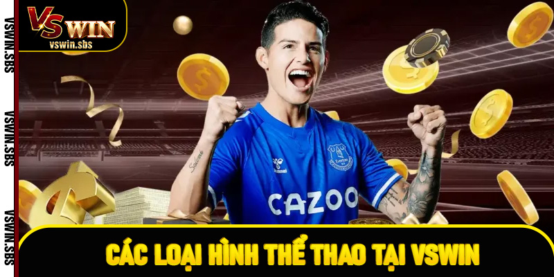 Các loại hình thể thao tại VSwin