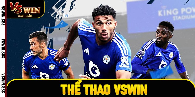 Thể thao VSwin